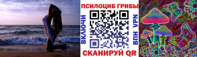 Галлюциногенные грибы GOLDEN TEACHER  Купить закладки  Нариманов 